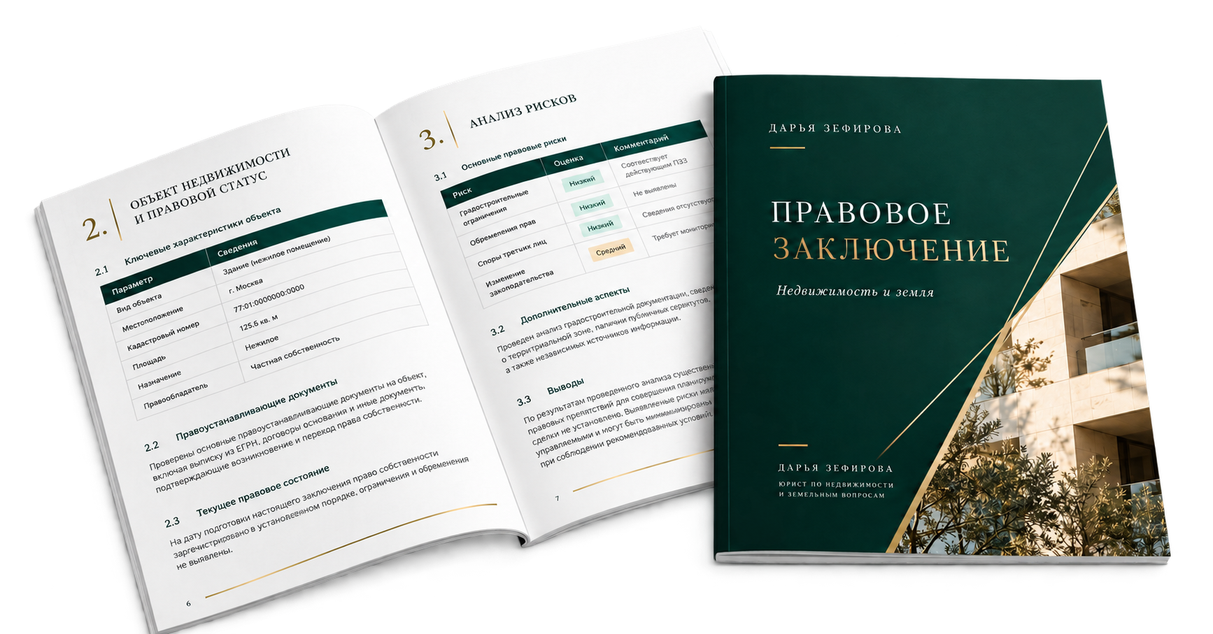 Макет правового заключения Дарьи Зефировой: обложка и разворот